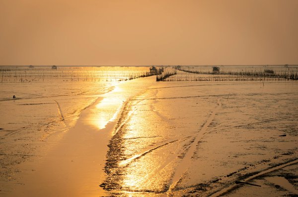 Pourquoi choisir une croisière pour votre lune de miel