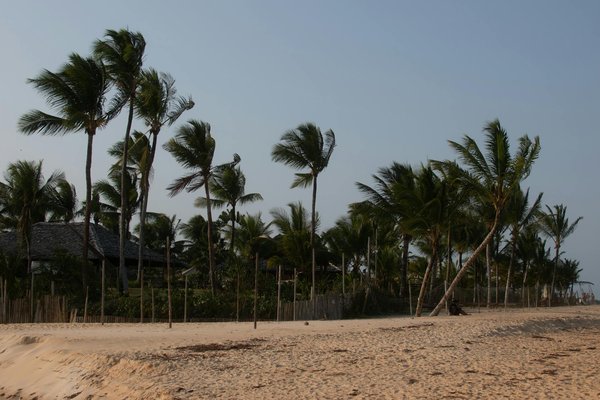 Les campings avec activités nautiques pour un été rafraîchissant
