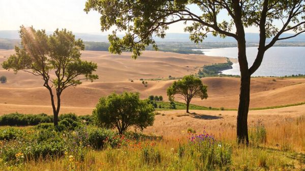 Les meilleurs campings des landes pour vos congés sereins